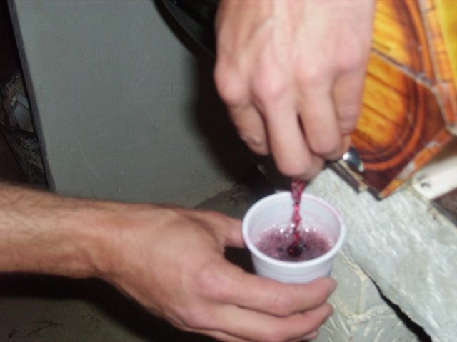 IMGP1221.JPG