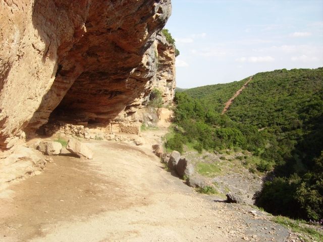 IMGP1306.JPG