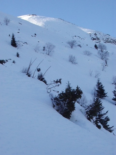 IMGP0375.JPG