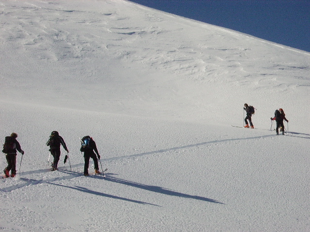 IMGP0381.JPG
