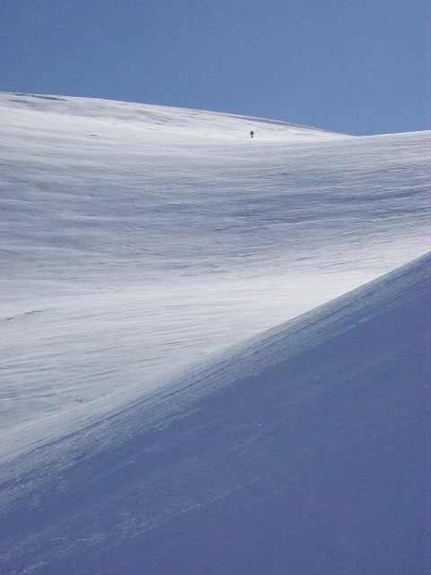 IMGP0385.JPG