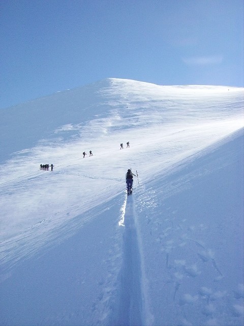 IMGP0387.JPG