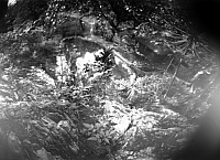 philippines_ben_jungle2 copie.jpg.jpg philippines_ben_jungle2 copie.jpg.jpg