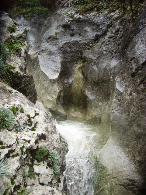 IMGP3682.JPG