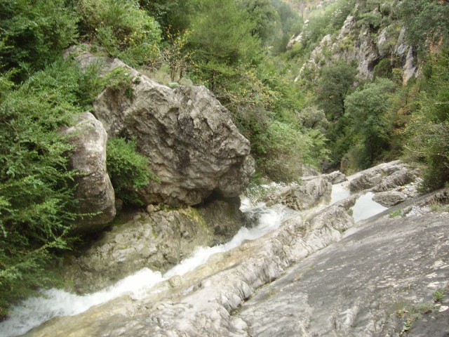IMGP3697.JPG
